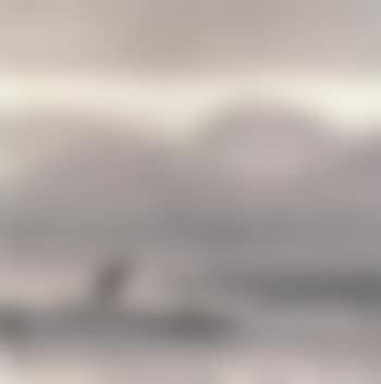 Fisherman (preview)