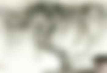 Wisteria (preview)