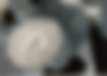 Silkworm in a cocoon (preview)