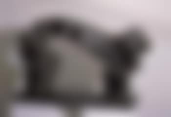 Taichi arch (preview)
