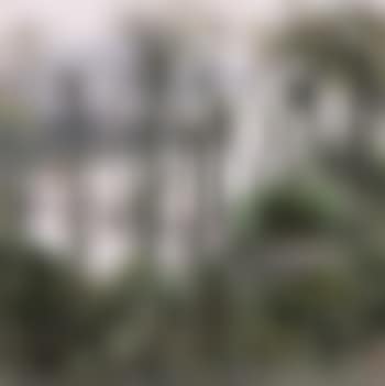 Forest in Xishuangbanna (preview)