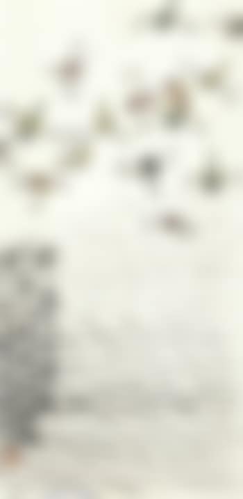 Dragonflies (preview)