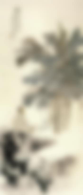 Monk and the horse (preview)