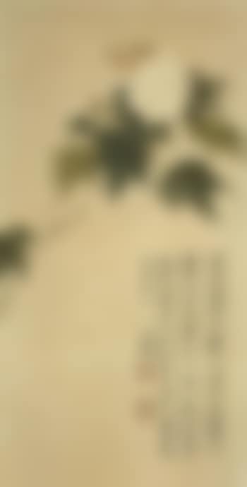 Peony and butterfly (preview)