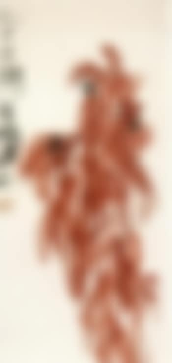 Amaranth (preview)