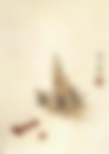 Cherries and bamboo shoots (preview)