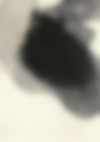 Landscape (preview)