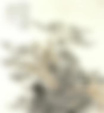Plum blossom and rock (preview)