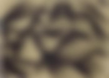 Z 57 Abstraction (preview)
