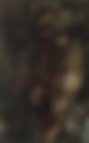 Visage (preview)