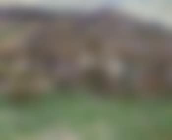Hameau de Falaise, paysage d'hiver (preview)