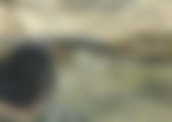 Seine a Rouen (preview)