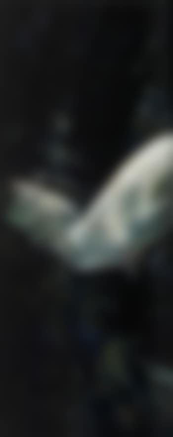 Nude over a pond (preview)