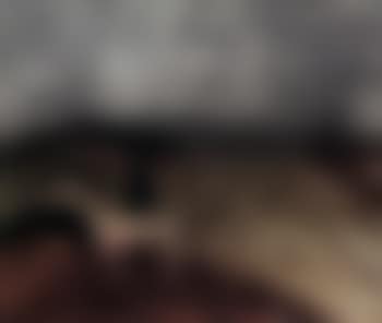 Ned Kelly on horse (preview)