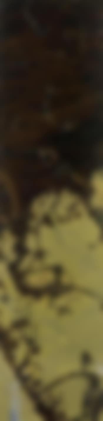 Brown landscape (preview)
