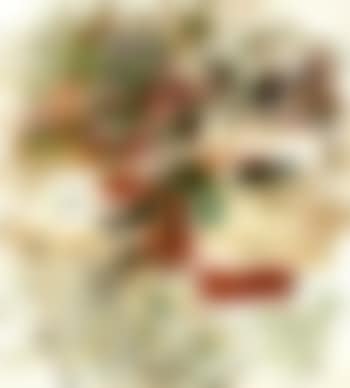 Degel (preview)
