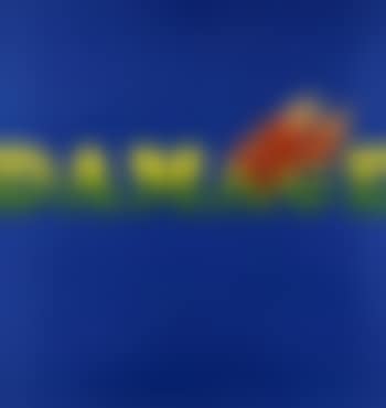 Damage (preview)