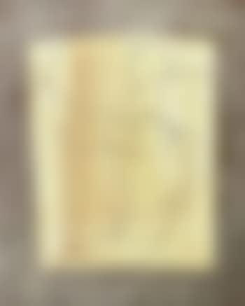 Still life (preview)