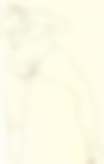 Standing nude woman masturbating (preview)