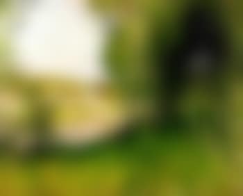 Bord d'une riviere (preview)