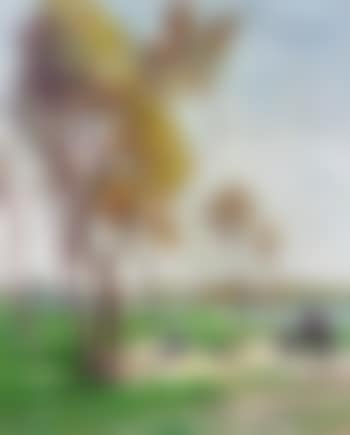 Saint-Ay, paysage (preview)