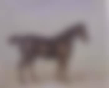 Study of a chestnut stallion (preview)