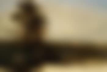 Trees on a riverbank with cattle grazing nearby (preview)