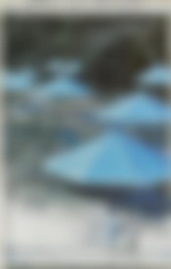 Umbrellas - Joint project for Japan and USA (preview)