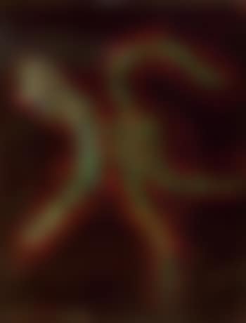 Untitled (preview)