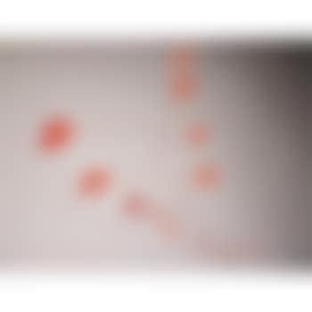 Little red dozen (preview)