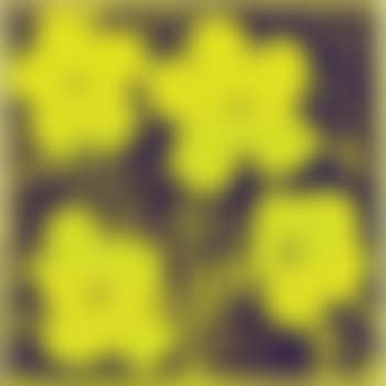 Flowers (preview)