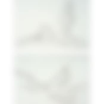 Hammer and sickle still lifes (preview)