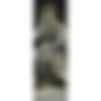 Grey Moses (preview)