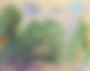 Landscape (preview)