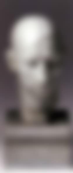 Head of the boxer Dick Nelson (preview)
