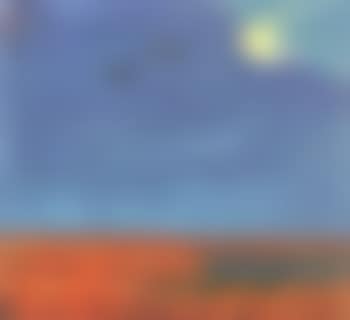 Ducks in flight over meadows (preview)