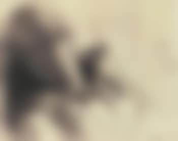 Maria Kroyer asleep (preview)