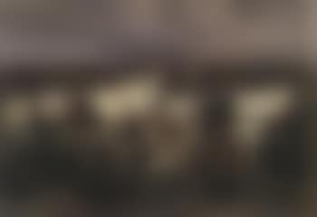 Calves by fence (preview)