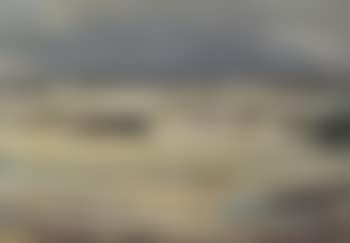Seagulls at Skagen Sonderstrand (preview)