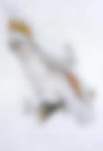Leadbeater's cockatoo (preview)