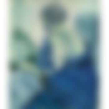 Le deshabille bleu (preview)