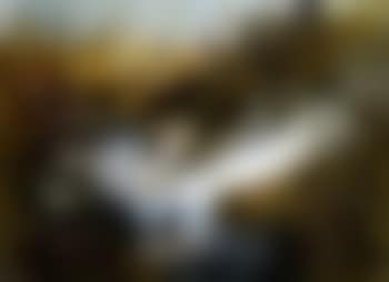 Bride by a stream (preview)