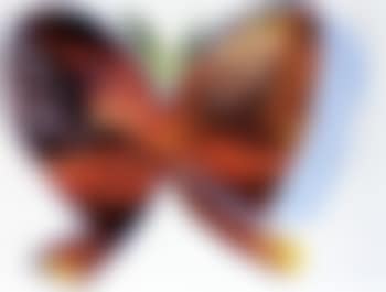 Butterfly face (preview)