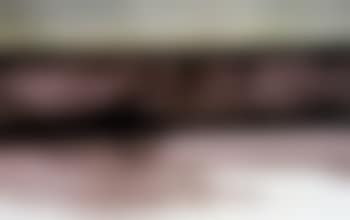 Landscape (preview)