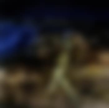 Gallipoli soldier (preview)