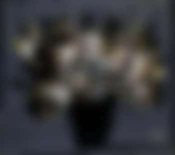 Still life, flowers (preview)