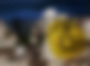 Crucifixion (preview)