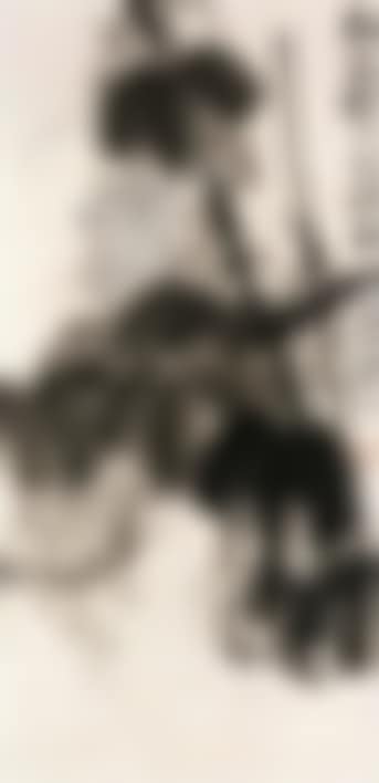 Grapes (preview)