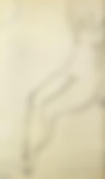 Seated nude (preview)