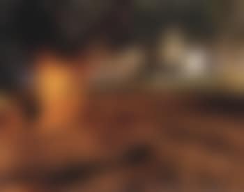 On this site, landscape in memoriam (preview)